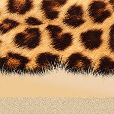    Xperia African Leopard  