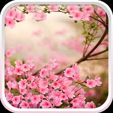 Загрузить программу Весенние цветы Живые Обои для андроида