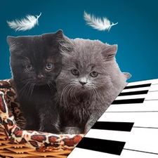   3D Naughty Kitten Cat Piano  