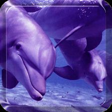 Программа Дельфин Живые Обои для андроида