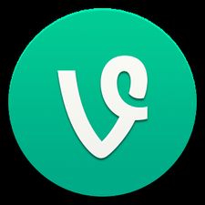   Vine  